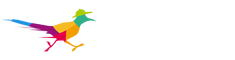 JIFU Travel